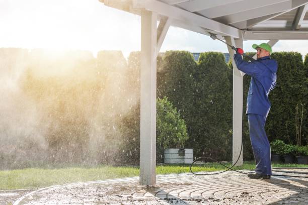Best House Exterior Washing  in Chelsea, MI