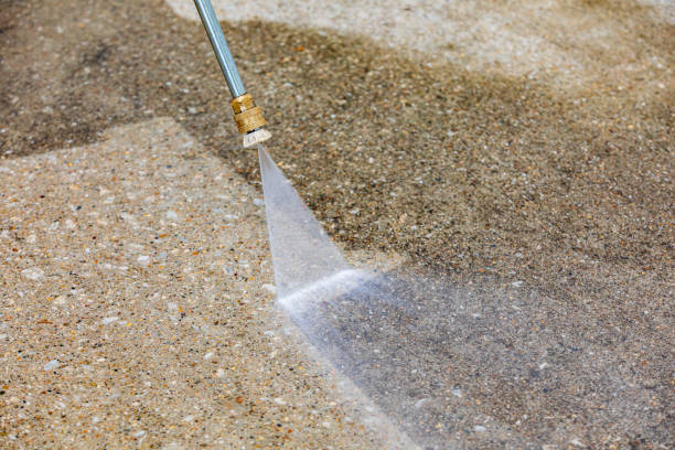 Best Soft Washing  in Chelsea, MI