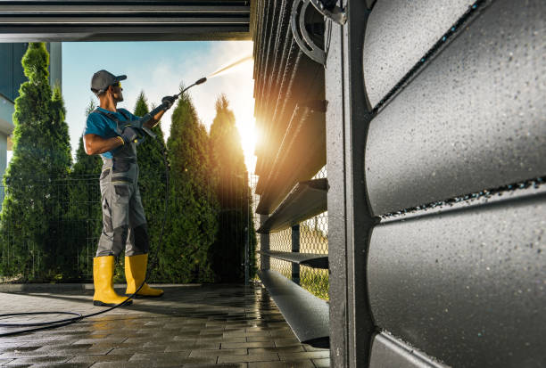 Best Roof Washing  in Chelsea, MI